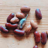 Solid silver lucky bean charm